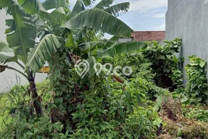 Tanah Kavling Dijual di Bogor dengan Spesifikasi 300m2 Tanah Kavling Dijual di Bogor dengan Spesifikasi 300m2