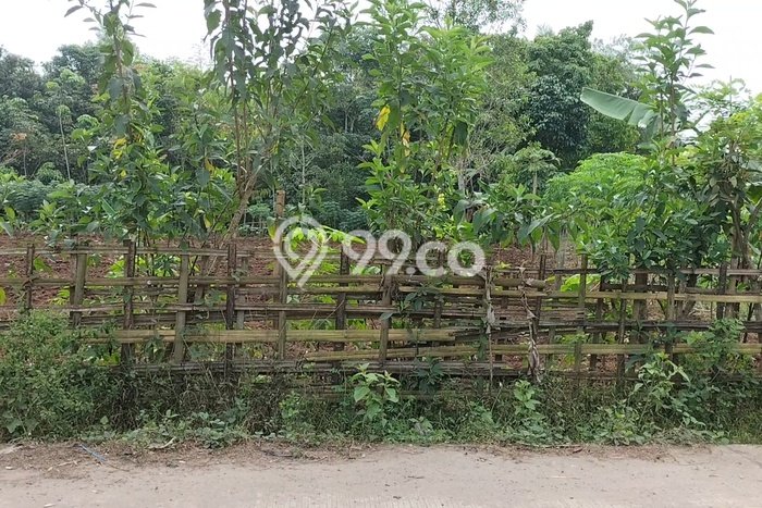 Lahan Dijual Lokasi Rangkasbitung, Lebak dengan Luas Tanah 25000m2 dan Status SHM Lahan Dijual Lokasi Rangkasbitung, Lebak dengan Luas Tanah 25000m2 dan Status SHM