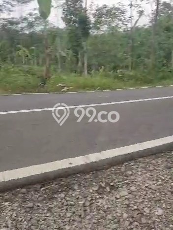 Lahan untuk Dijual Lokasi Rangkasbitung, Lebak Luas 8000m2 SHM Lahan untuk Dijual Lokasi Rangkasbitung, Lebak Luas 8000m2 SHM