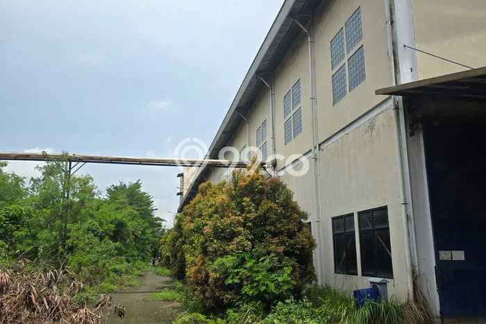 Pabrik Dijual Lokasi Emas di Balaraja Luas 100m2 Pabrik Dijual Lokasi Emas di Balaraja Luas 100m2