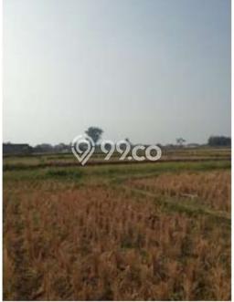 Kavling Tanah di Margaasih Dijual Luas 12500m2 Legalitas SHM Kavling Tanah di Margaasih Dijual Luas 12500m2 Legalitas SHM