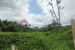 Tanah untuk Dijual di Lawang Malang Luas 144m2 Tanah untuk Dijual di Lawang Malang Luas 144m2