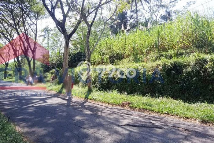 Tanah Dijual Lokasi Wonosari, Malang dengan Luas Tanah 6373m2 dan Status SHM Tanah Dijual Lokasi Wonosari, Malang dengan Luas Tanah 6373m2 dan Status SHM