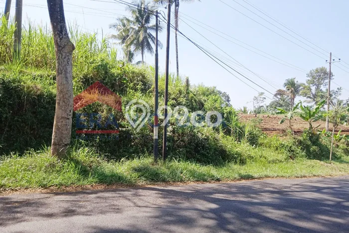 Tanah Dijual Lokasi Wonosari, Malang dengan Luas Tanah 6373m2 dan Status SHM Tanah Dijual Lokasi Wonosari, Malang dengan Luas Tanah 6373m2 dan Status SHM