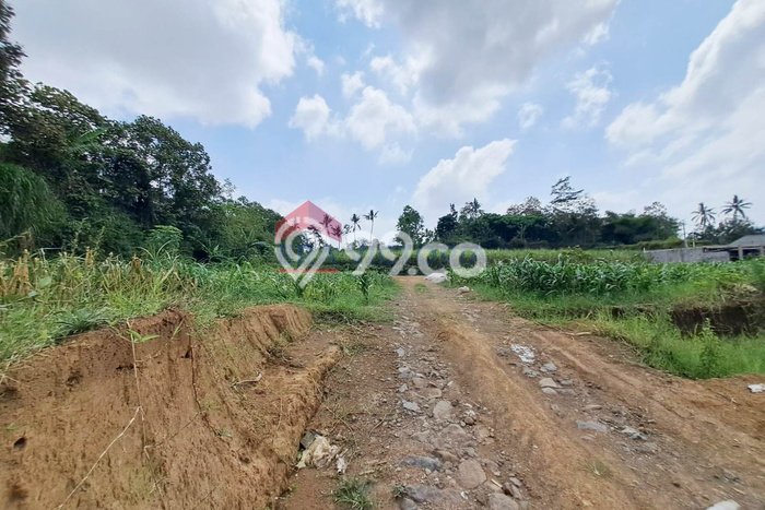 Jarang Ada! Tanah di Tajinan Punya Luas 83m2 SHM Jarang Ada! Tanah di Tajinan Punya Luas 83m2 SHM