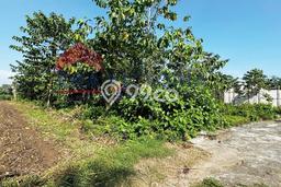 Kavling Tanah di Pakis Dijual Luas 186m2 Legalitas SHM Kavling Tanah di Pakis Dijual Luas 186m2 Legalitas SHM