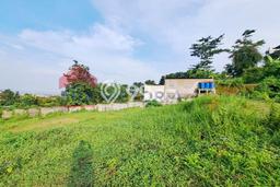Tanah Dijual Lokasi Dau, Malang Luas 3539m2 Legalitas Aman Tanah Dijual Lokasi Dau, Malang Luas 3539m2 Legalitas Aman