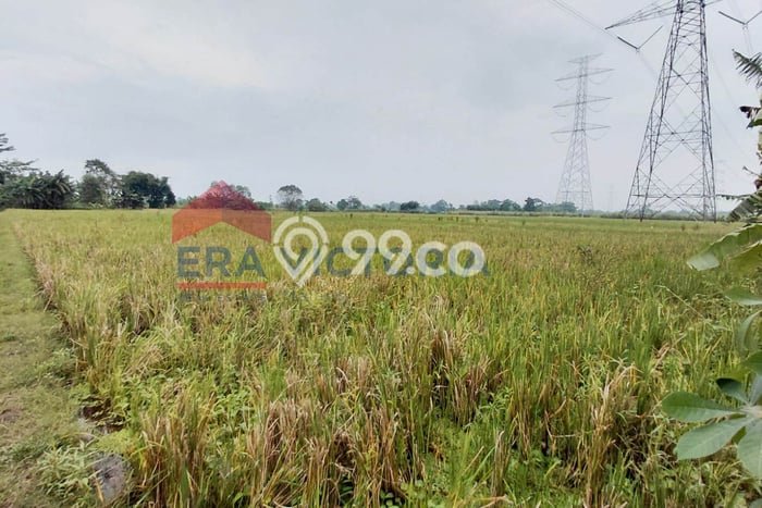 Lahan Kosong Dijual di Pasuruan dengan Area 3058m2 Lahan Kosong Dijual di Pasuruan dengan Area 3058m2