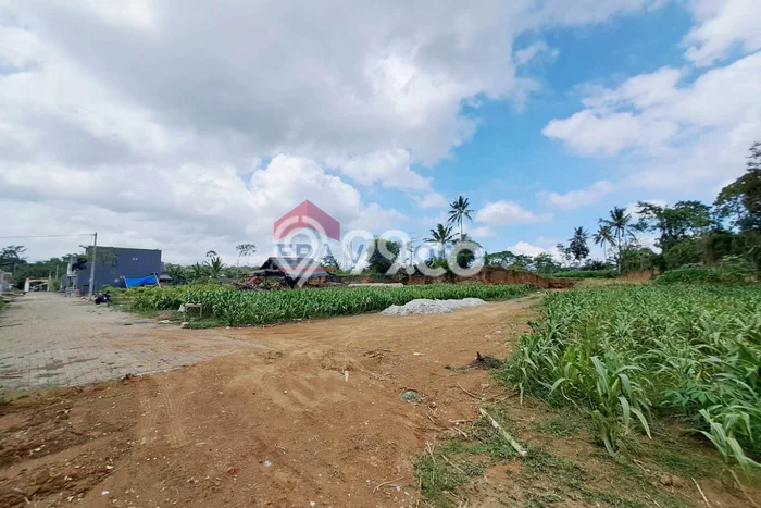 Jarang Ada! Tanah di Tajinan Punya Luas 83m2 SHM Jarang Ada! Tanah di Tajinan Punya Luas 83m2 SHM