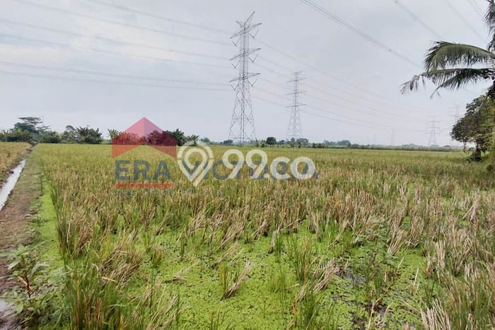 Lahan Kosong Dijual di Pasuruan dengan Area 3058m2 Lahan Kosong Dijual di Pasuruan dengan Area 3058m2