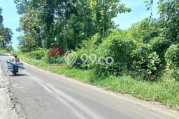 Tanah Dijual Lokasi Wagir Malang SHM Tanah Dijual Lokasi Wagir Malang SHM