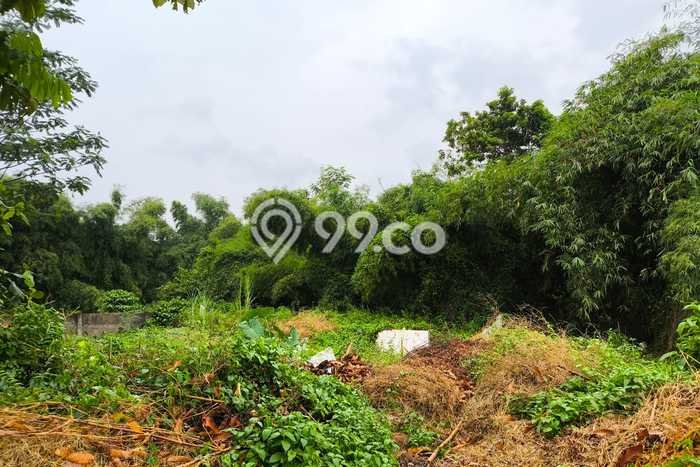 Tanah Kavling Dijual di Bogor dengan Spesifikasi 510m2 Tanah Kavling Dijual di Bogor dengan Spesifikasi 510m2