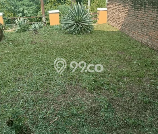Rumah Luas Asri 3 KT Siap Huni di Gerogol Cilegon Rumah Luas Asri 3 KT Siap Huni di Gerogol Cilegon
