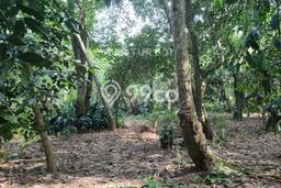 Tanah Kavling untuk Dijual di Curug Serang 9379m2 Tanah Kavling untuk Dijual di Curug Serang 9379m2