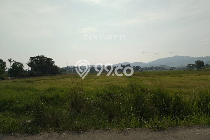 Tanah Komersial Dijual di Bojonegara Serang 127895m2 Tanah Komersial Dijual di Bojonegara Serang 127895m2