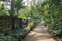 Untuk Dijual Tanah di Curug Serang Luas 2194m2 SHM Untuk Dijual Tanah di Curug Serang Luas 2194m2 SHM