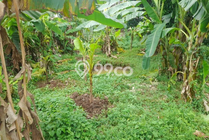 Lahan Dijual Lokasi Kramatwatu, Serang dengan Luas Tanah 477m2 dan Status SHM Lahan Dijual Lokasi Kramatwatu, Serang dengan Luas Tanah 477m2 dan Status SHM