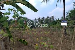 Kavling Tanah Dijual di Waringinkurung Serang Spesifikasi 778m2 Kavling Tanah Dijual di Waringinkurung Serang Spesifikasi 778m2