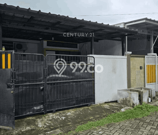 Dijual Rumah Siap Huni di Waringinkurung Serang Harga Rp 500 Juta LT 85m2 Dijual Rumah Siap Huni di Waringinkurung Serang Harga Rp 500 Juta LT 85m2
