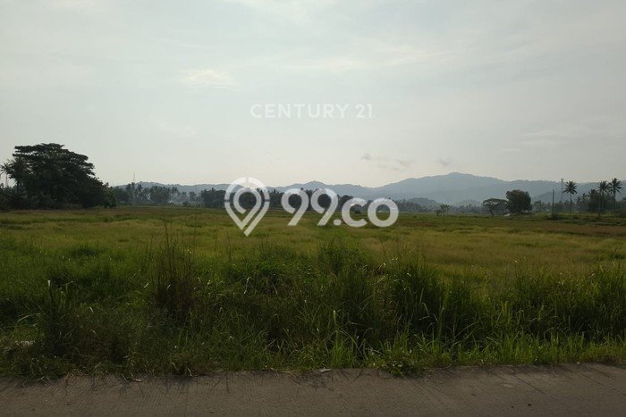 Tanah Komersial Dijual di Bojonegara Serang 127895m2 Tanah Komersial Dijual di Bojonegara Serang 127895m2