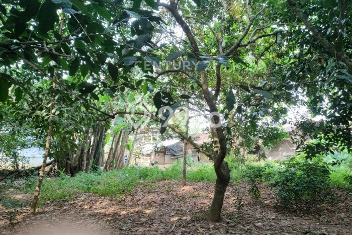Tanah Kavling untuk Dijual di Curug Serang 9379m2 Tanah Kavling untuk Dijual di Curug Serang 9379m2