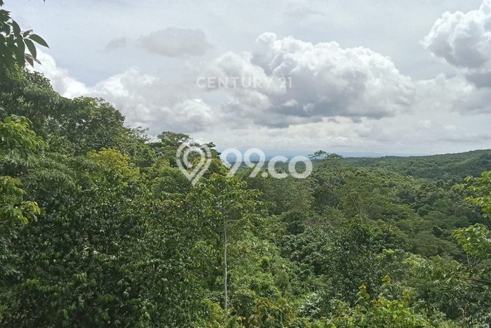 Lahan untuk Dijual Lokasi Cigeulis, Pandeglang Luas 20000m2 - Lahan untuk Dijual Lokasi Cigeulis, Pandeglang Luas 20000m2 -