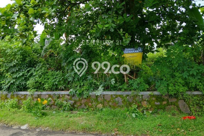 Lahan Dijual Lokasi Citangkil, Cilegon dengan Luas Tanah 500m2 dan Status SHM Lahan Dijual Lokasi Citangkil, Cilegon dengan Luas Tanah 500m2 dan Status SHM