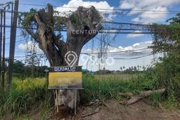 Tanah Dijual Lokasi Strategis di Cilegon dengan Luas 10400m2 Tanah Dijual Lokasi Strategis di Cilegon dengan Luas 10400m2