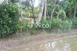 Tanah di Panimbang, Pandeglang Luas 10000m2 Dijual Segera Tanah di Panimbang, Pandeglang Luas 10000m2 Dijual Segera