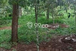 Lahan untuk Dijual Lokasi Saketi, Pandeglang Luas 16000m2 SHM Lahan untuk Dijual Lokasi Saketi, Pandeglang Luas 16000m2 SHM