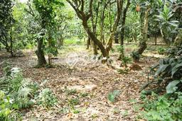 Tanah Dijual Lokasi Curug Serang SHM Tanah Dijual Lokasi Curug Serang SHM
