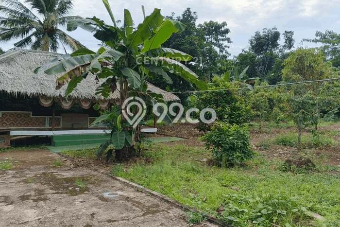 Tanah Siap Bangun Dijual di Serang Punya Luas 1500m2 Tanah Siap Bangun Dijual di Serang Punya Luas 1500m2
