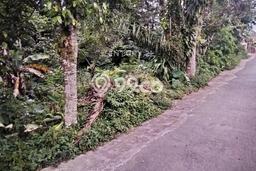 Tanah Dijual Lokasi Sleman, Sleman Luas 4349m2 Legalitas Aman Tanah Dijual Lokasi Sleman, Sleman Luas 4349m2 Legalitas Aman