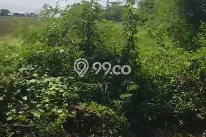 Dijual Tanah di Gianyar, Luas 2400m2 SHM Dijual Tanah di Gianyar, Luas 2400m2 SHM