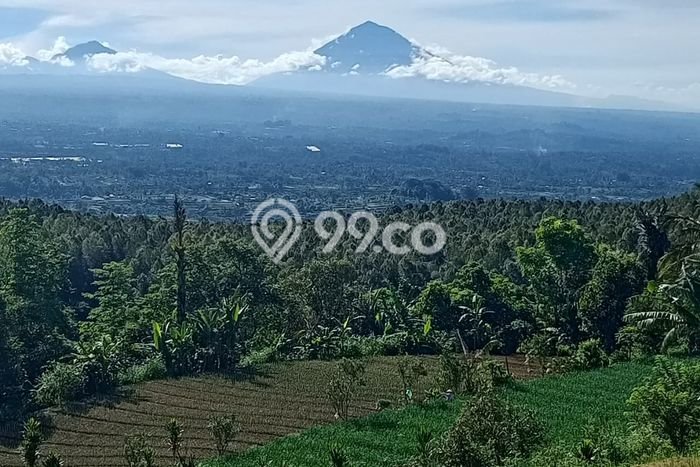 Lahan untuk Dijual Lokasi Baturiti, Tabanan Luas 7000m2 SHM Lahan untuk Dijual Lokasi Baturiti, Tabanan Luas 7000m2 SHM