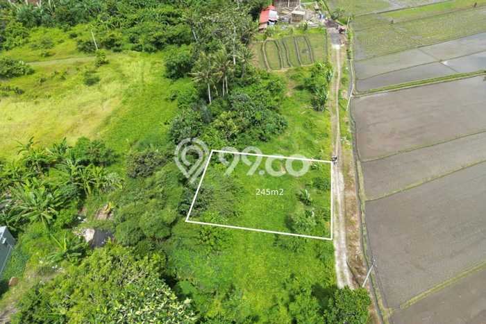 Dijual Tanah 735m2 di Kedungu, Tabanan Dijual Tanah 735m2 di Kedungu, Tabanan