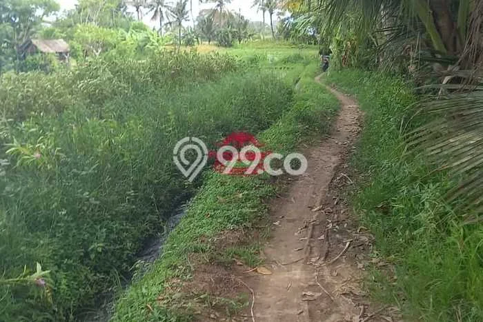 Untuk Dijual Tanah 420000m2 di Temesi, Gianyar Untuk Dijual Tanah 420000m2 di Temesi, Gianyar