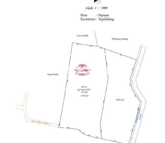 Lahan Dijual Lokasi Tegallalang, Gianyar dengan Luas Tanah 10000m2 dan Status SHM Lahan Dijual Lokasi Tegallalang, Gianyar dengan Luas Tanah 10000m2 dan Status SHM