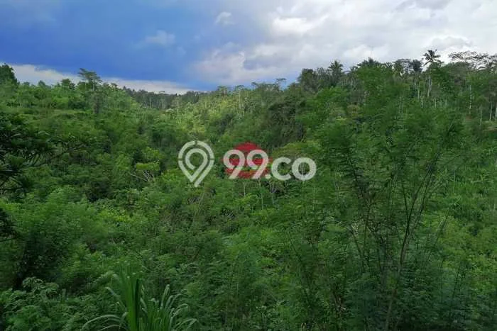 Lahan Dijual Lokasi Tegallalang, Gianyar dengan Luas Tanah 10000m2 dan Status SHM Lahan Dijual Lokasi Tegallalang, Gianyar dengan Luas Tanah 10000m2 dan Status SHM