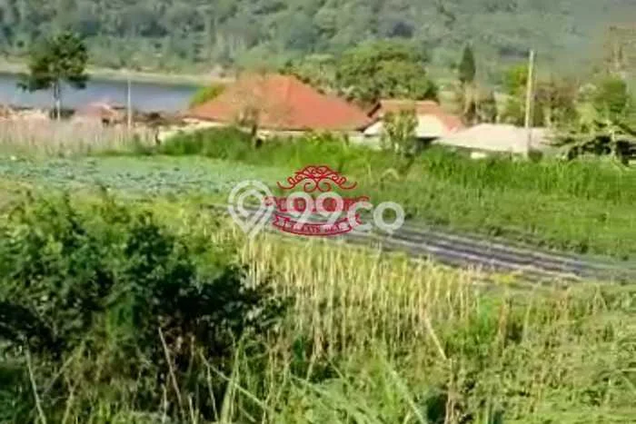 Tanah Investasi Dijual di Buleleng Punya Luas 11730m2 Tanah Investasi Dijual di Buleleng Punya Luas 11730m2