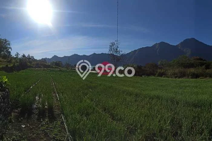 Lahan untuk Dijual Lokasi Kintamani, Bangli Luas 2000m2 SHM Lahan untuk Dijual Lokasi Kintamani, Bangli Luas 2000m2 SHM
