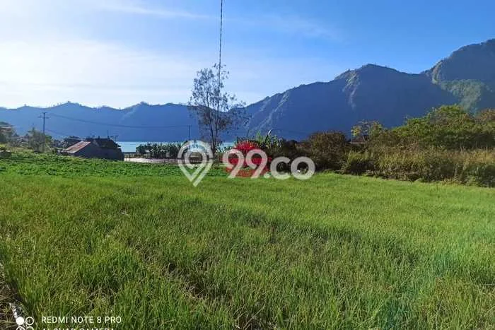 Lahan untuk Dijual Lokasi Kintamani, Bangli Luas 2000m2 SHM Lahan untuk Dijual Lokasi Kintamani, Bangli Luas 2000m2 SHM