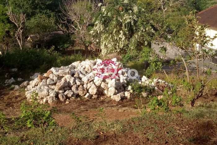 Dijual Tanah di Badung, Luas 19000m2 SHM Dijual Tanah di Badung, Luas 19000m2 SHM