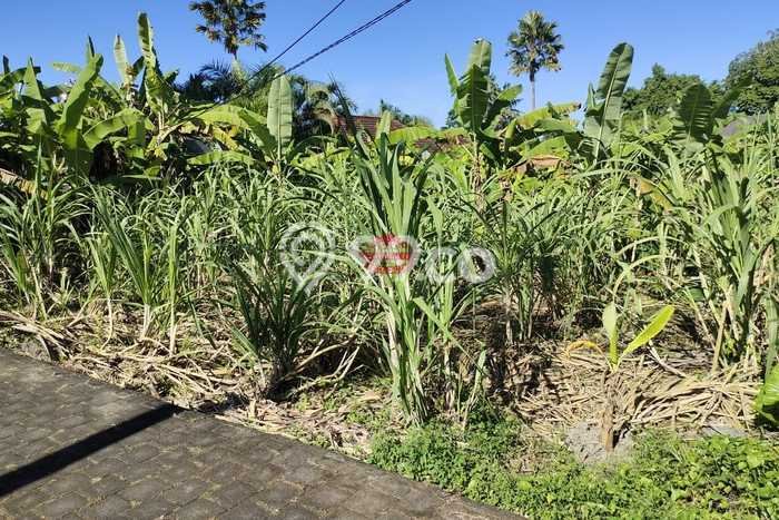 Dijual Tanah 1350m2 di Pererenan, Badung Dijual Tanah 1350m2 di Pererenan, Badung