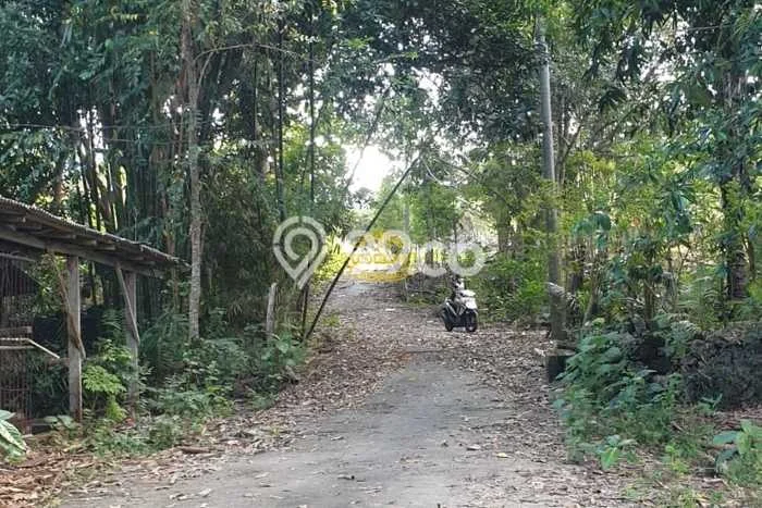 Tanah Kavling Dijual di Badung dengan Spesifikasi 1500m2 Tanah Kavling Dijual di Badung dengan Spesifikasi 1500m2