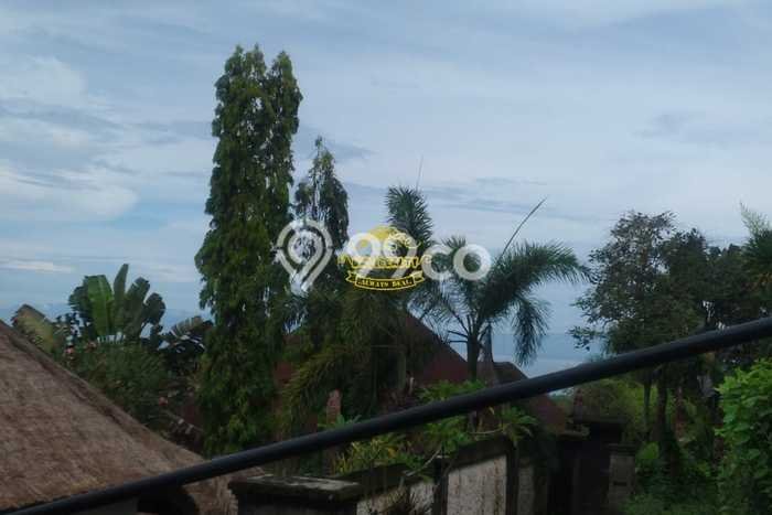 Tanah Dijual di Badung Seluas 6685m2 Strategis Tanah Dijual di Badung Seluas 6685m2 Strategis
