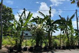 Tanah Dijual di Badung Seluas 328m2 Strategis Tanah Dijual di Badung Seluas 328m2 Strategis