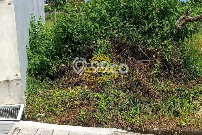 Tanah Siap Bangun Dijual di Badung Punya Luas 464m2 Tanah Siap Bangun Dijual di Badung Punya Luas 464m2