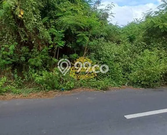 Tanah Dijual di Badung Seluas 6269m2 Strategis Tanah Dijual di Badung Seluas 6269m2 Strategis