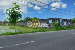 Tanah Dijual di Badung Seluas 1125m2 Strategis Tanah Dijual di Badung Seluas 1125m2 Strategis